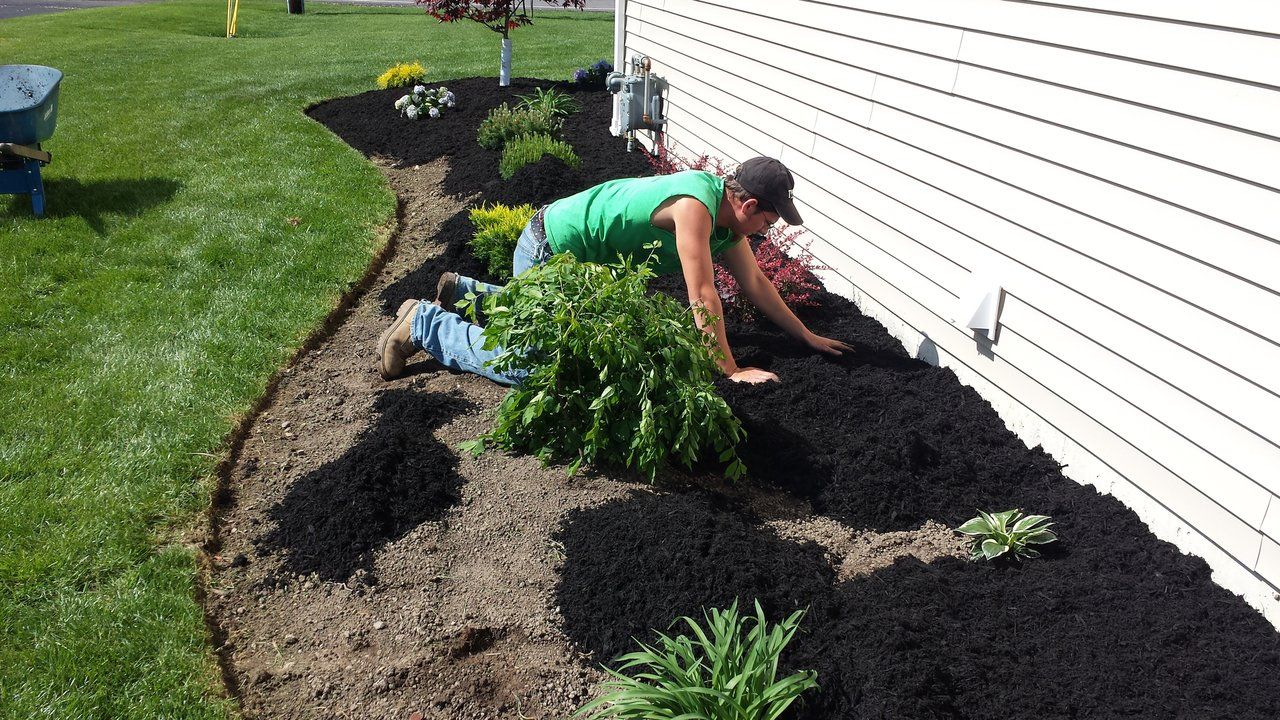 Landscaping Services Hamburg & Orchard Park, NY Tripi's Landscaping